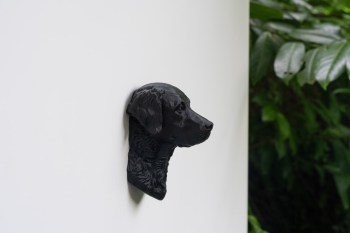 Kuehlschrankmagnet_Chesapeake_Bay_Retriever_Kopf_04