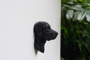 Kuehlschrankmagnet_Chesapeake_Bay_Retriever_Kopf_Modell-2-04