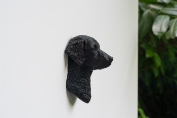 Kuehlschrankmagnet_Curly_Coated_Retriever_Kopf_03