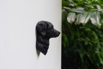 Kuehlschrankmagnet_Nova_Scotia_Duck_Tolling_Retriever_Kopf-03