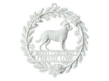 WACBR001_Chesapeake_Bay_stehend_Chessie_Love_weiss