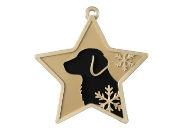 WAFCR001_Flat_Coated_Kopf_Stern_lightgold-schwarz
