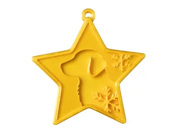 WAFCR003_Flat_Coated_Kopf_Stern_gelbgold