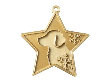 WAFCR004_Flat_Coated_Kopf_Stern_lightgold