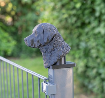 Zaunpfosten-Kappe-Kopf-Chessie_Anwendung1