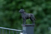 Fence Post Cap with "Chessie" Chesapeake Bay Retriever figurine