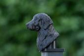 Fence Post Cap with Flat Coated Retriever head