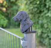 Fence Post Cap with Flat Coated Retriever head