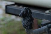 Tow Bar / Hitch Cap with Flat Coated Retriever head - for 50mm standard hitch