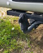 Tow Bar / Hitch Cap with Curly Coated Retriever head - for 50mm standard hitch