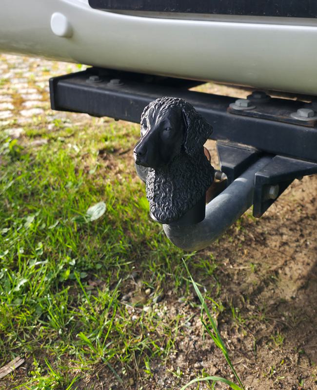 Anhaengerkupplung_Kappe_-_Curly_Kopf_Anwendung1.jpg