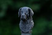 Fence Post Cap with Chesapeake Bay Retriever head