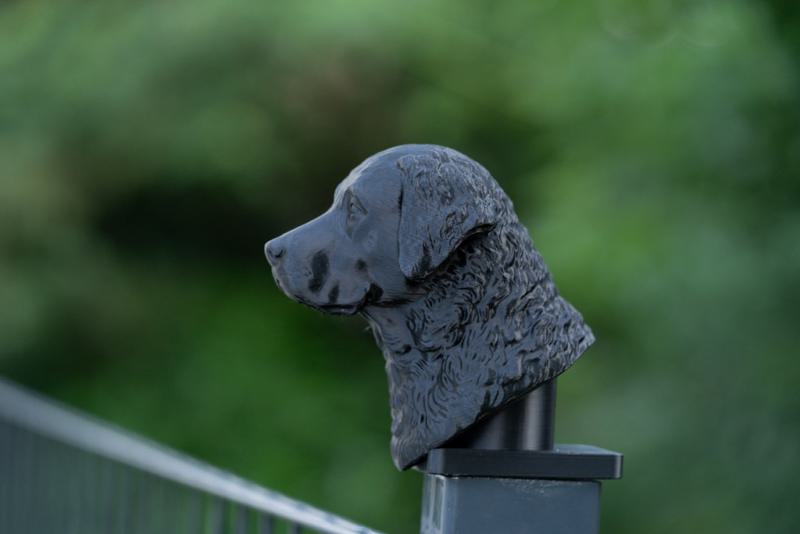 Zaunpfosten-Kappe-Kopf-Chessie_Anwendung2.jpg