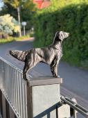 Fence Post Cap with Flat Coated Retriever figurine