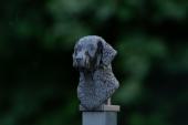Fence Post Cap with Curly Coated Retriever head