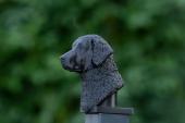 Fence Post Cap with Curly Coated Retriever head
