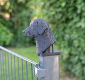 Fence Post Cap with Curly Coated Retriever head