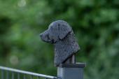 Fence Post Cap with Curly Coated Retriever head