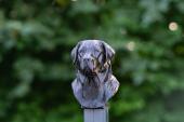 Fence Post Cap with Labrador Retriever head - Model 1