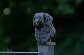 Fence Post Cap with "Toller" Nova Scotia Duck Tolling Retriever head
