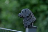 Fence Post Cap with "Toller" Nova Scotia Duck Tolling Retriever head