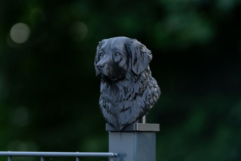 Zaunpfosten-Kappe-Kopf-Toller_Anwendung3.jpg