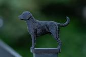 Fence Post Cap with Curly Coated Retriever figurine - Model 1
