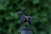 Fence Post Cap with Curly Coated Retriever figurine - Model 1