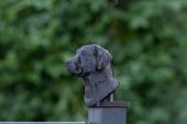 Fence Post Cap with Labrador Retriever head - Model 2