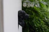 Golden Retriever Head as Fridge Magnet
