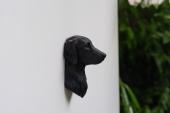 Flat Coated Retriever Head as Fridge Magnet