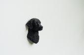 Curly Coated Retriever Head as Fridge Magnet