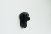 Chesapeake Bay Retriever Head as Fridge Magnet - Model 1