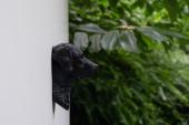Chesapeake Bay Retriever Head as Fridge Magnet - Model 1
