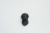 Chesapeake Bay Retriever Head as Fridge Magnet - Model 1