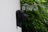 Chesapeake Bay Retriever Head as Fridge Magnet - Model 2