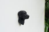 Chesapeake Bay Retriever Head as Fridge Magnet - Model 2