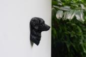 Nova Scotia Duck Tolling Retriever Head as Fridge Magnet