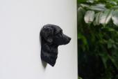 Nova Scotia Duck Tolling Retriever Head as Fridge Magnet