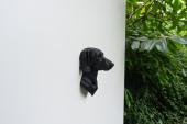 Short-hair Dachshund Head as Fridge Magnet