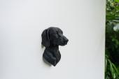Short-hair Dachshund Head as Fridge Magnet